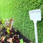 escolas particulares em praia grande